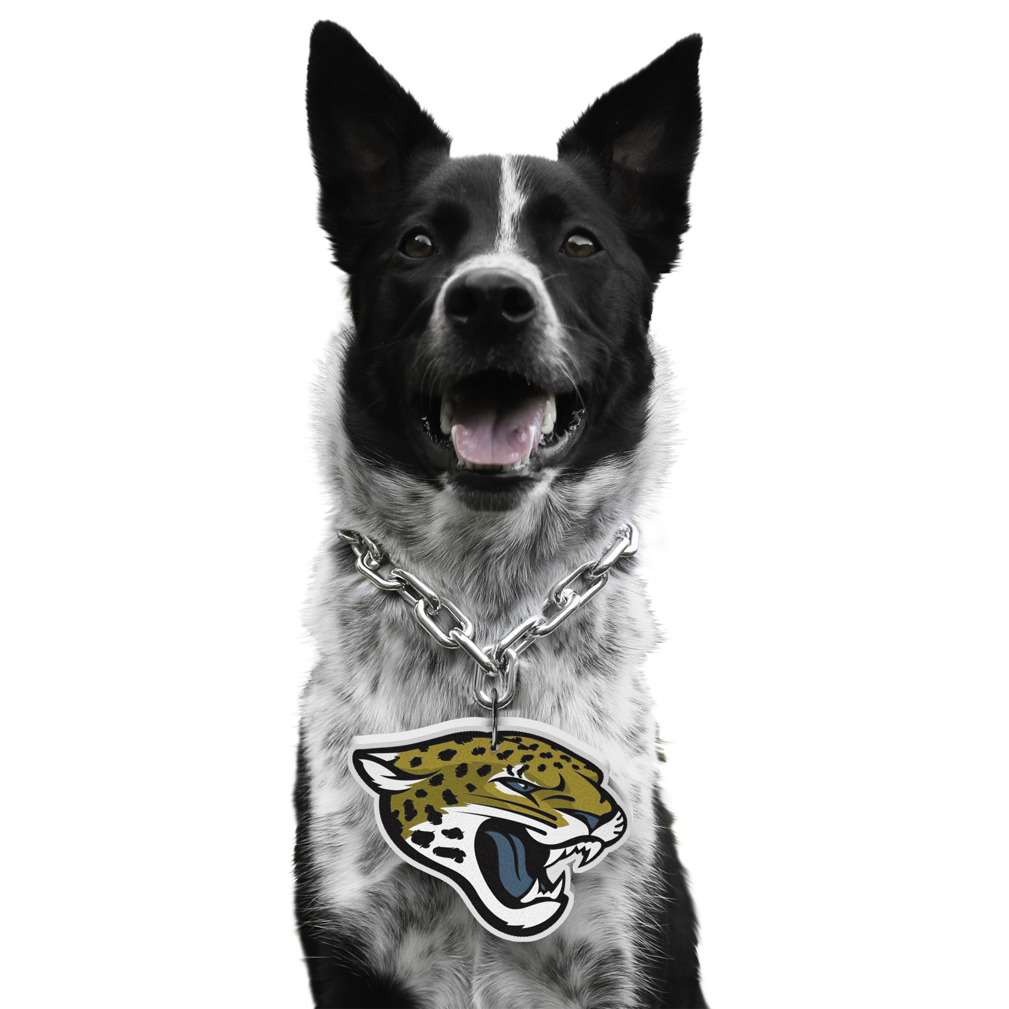 Littlearth NFL Pet Fan Chain - Officially Licensed Dog Collar & Leash Set for Football Fans - Perfect for Game Day, Training, and Outdoor Adventures