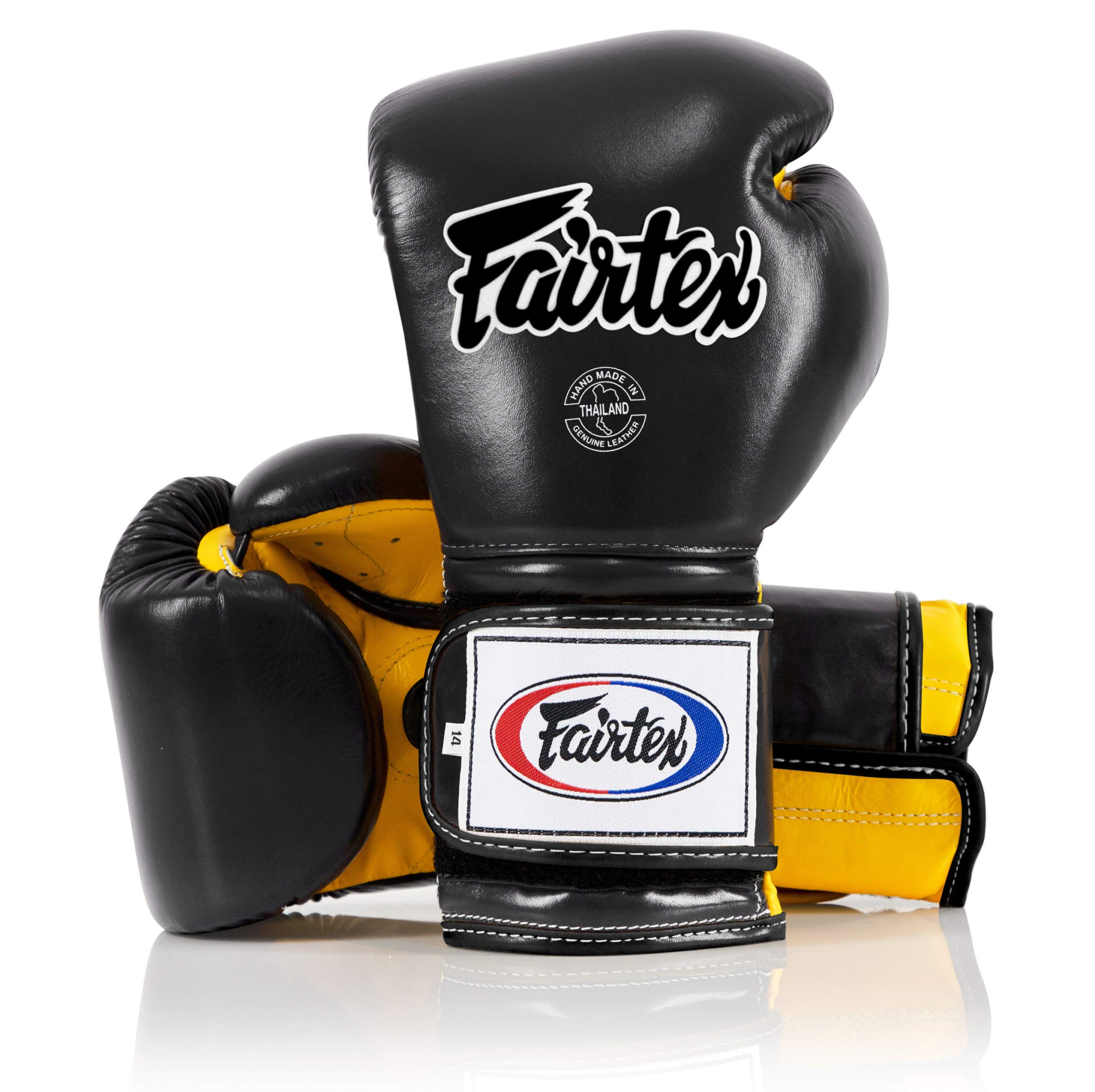 Fairtex BGV9 Muay Thai Boxing Gloves - 10/12/14/16 oz Training & Sparring Gloves for Kickboxing, MMA, K1 - Premium Mexican Style Heavy Hitter Gloves for Fighters & Training Partners - Ideal for Gym Workouts, Bag Drills & Competition Preparation