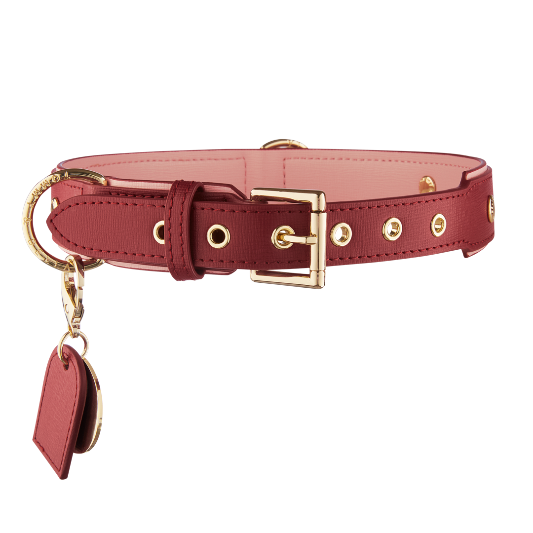Premium Maroon & Pink Dog Collar - Adjustable Nylon Pet Collar for Small Medium Large Dogs - Perfect for Daily Walks, Training & Outdoor Adventures
