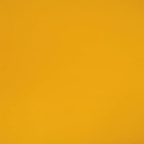 Canvas Sunflower Yellow