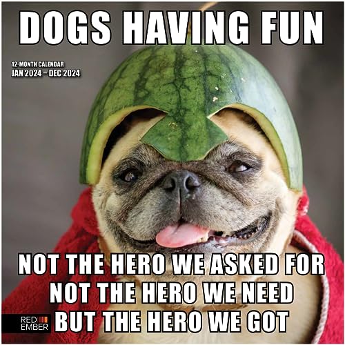 01 - Dogs Having Fun