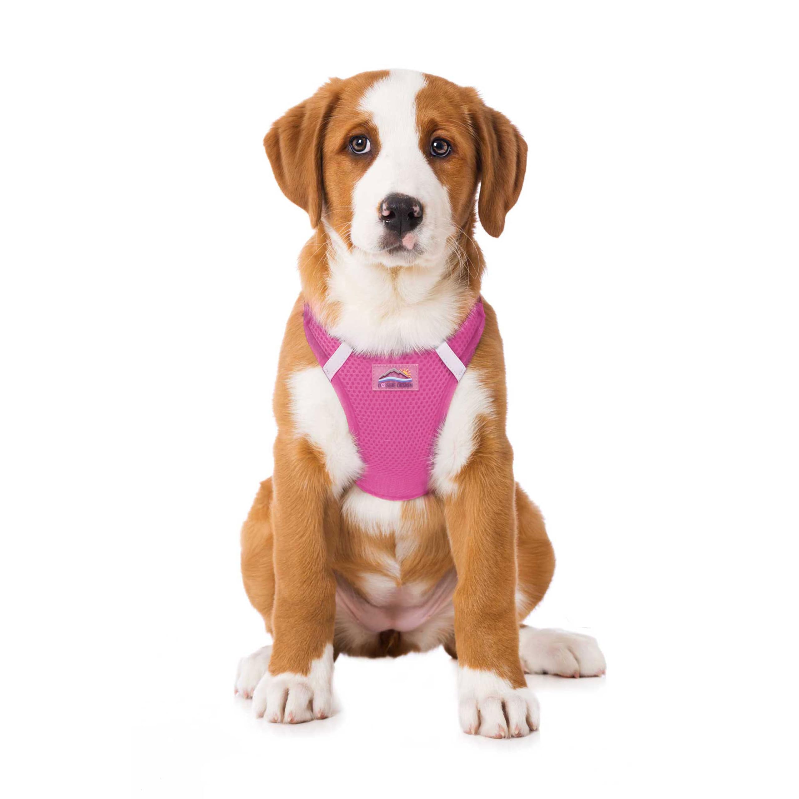 Doggie Design No-Choke Dog Harness - Breathable Mesh Polyester Pet Vest with Easy Step-in Design for Small & Medium Dogs - Candy Pink Size L - Perfect for Walking, Hiking & Outdoor Adventures
