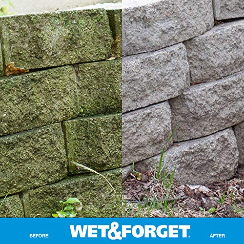 Wet & Forget Outdoor Multi-Surface Cleaner - Moss, Mold, Mildew & Algae Stain Remover | Ready-to-Use 64oz (4-Pack) | Perfect for Driveways, Patios, Roofs & Fences
