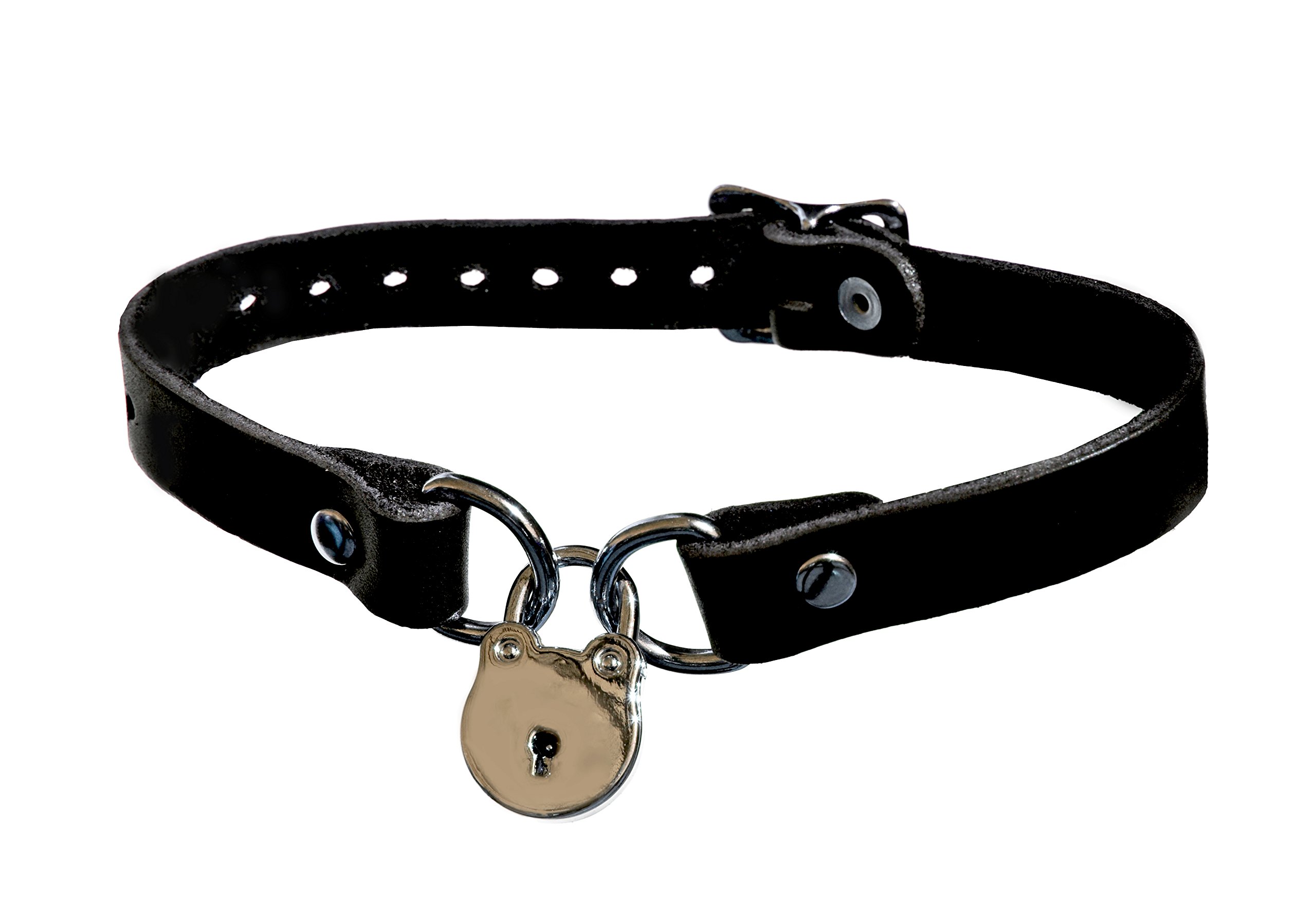 Double D Dog Collar - Large Size, Heavy Duty Nylon Pet Collar for Medium to Large Dogs - Perfect for Walking, Training, and Outdoor Adventures