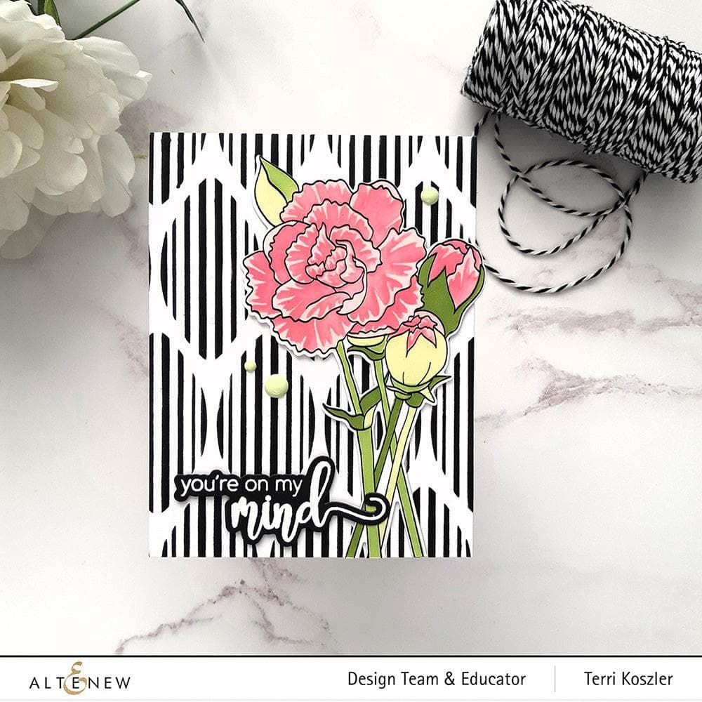 Grand Carnations Seeds for Planting - Beautiful Perennial Flowers for Home Garden, Landscaping & Bouquets | DIY Gardening Gift Idea