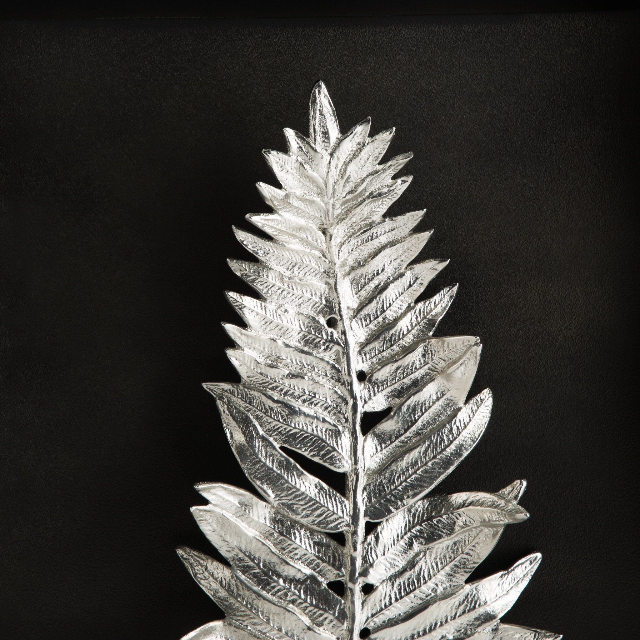 Fern Shadow Box Frame - Preserved Real Ferns in Glass Display for Home Decor, Wedding Centerpieces & Wall Art - Perfect for Nature Lovers & Botanical Decor