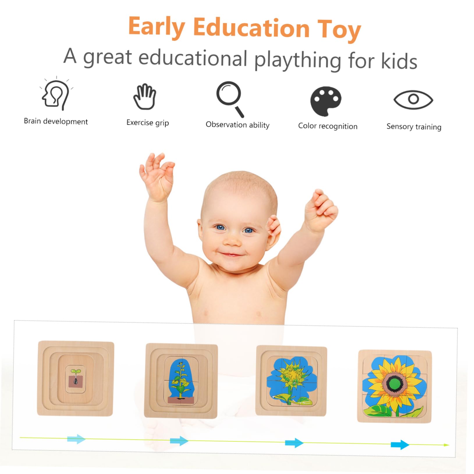 TOYANDONA Sunflower Life Cycle Puzzle Set - 3D Layered Wooden Educational Toy for Kids, Montessori Learning Activity, Children's Developmental Puzzle Game | Perfect for Homeschooling, Classroom Science Lessons & Toddler Cognitive Development