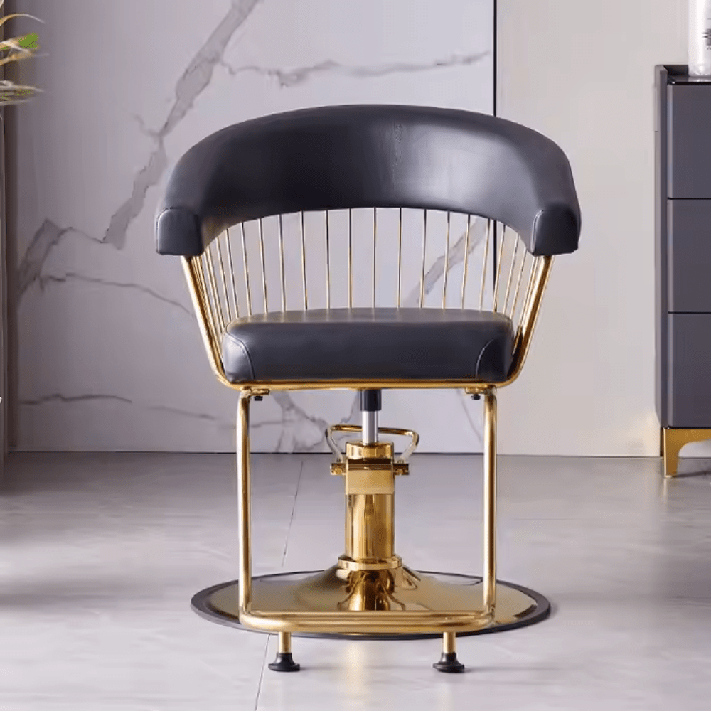 Professional Adjustable Salon Styling Chair - Hydraulic Hairdresser Chair with 360° Swivel & Footrest - Perfect for Barber Shops, Beauty Salons & Home Hair Styling