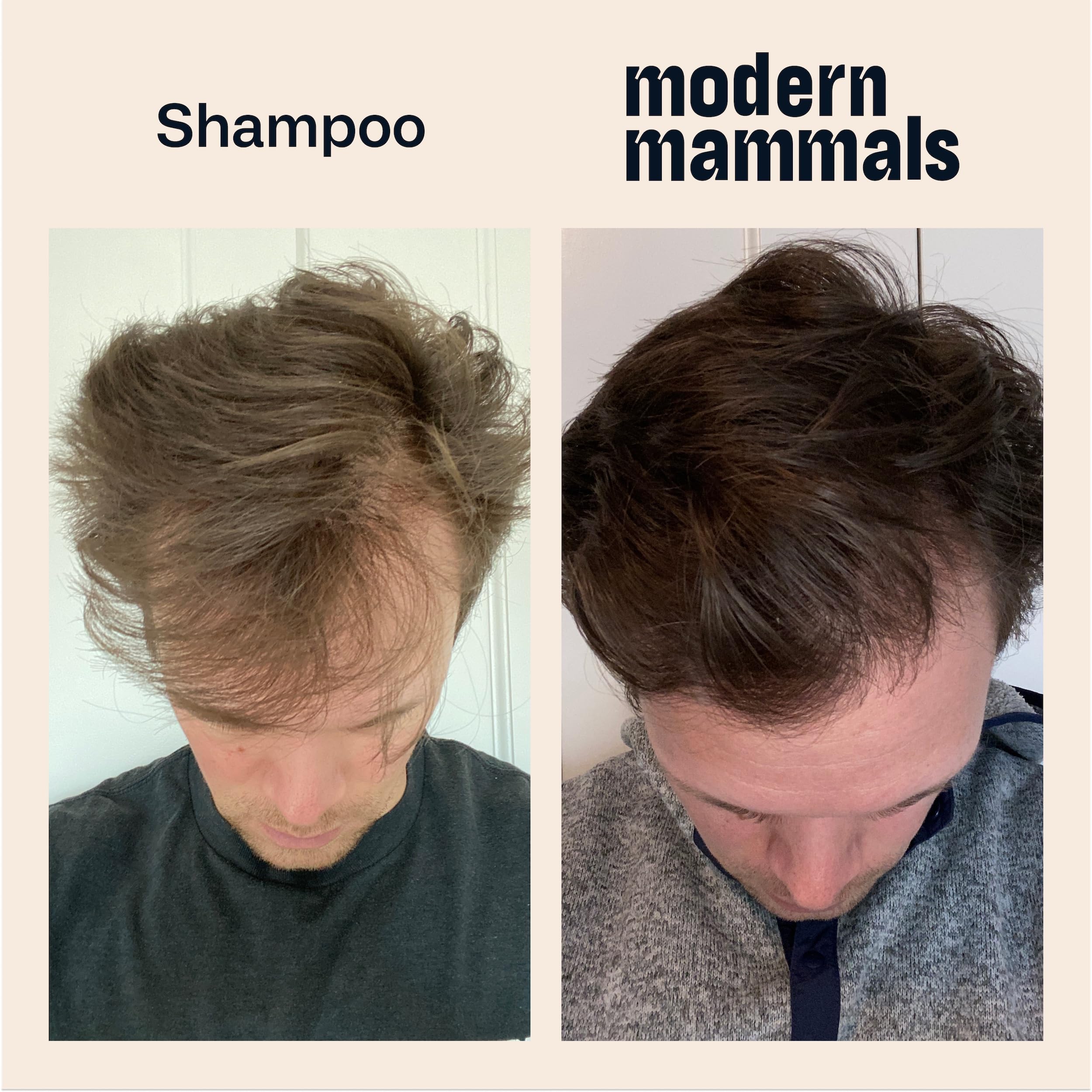 Modern Mammals Magic Mud Men's 2-in-1 Shampoo & Conditioner - Lather-Free Daily Cowash (8 oz) with Wooden Wide-Tooth Comb for Curly Hair & Beard Care | Gentle Cleansing for Men with Sensitive Scalp