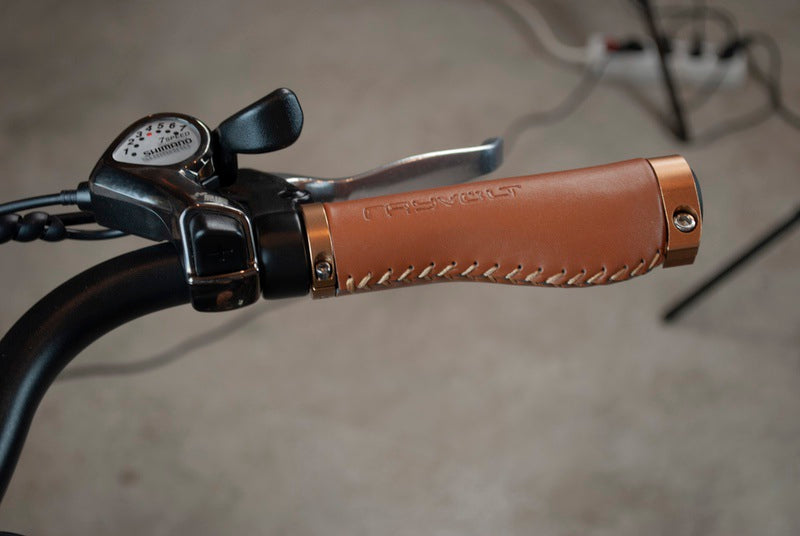 Rayvolt Clubman - Stylish and Durable Electric Bike for Urban Commuting | Perfect for City Rides, Eco-Friendly Transportation & Outdoor Adventures