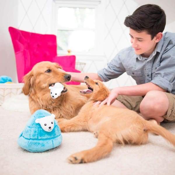 ZippyPaws Burrow Polar Bear Igloo Plush Dog Toy - Interactive Hide & Seek Squeaky Toy for Small & Medium Dogs - Perfect for Indoor Play & Training