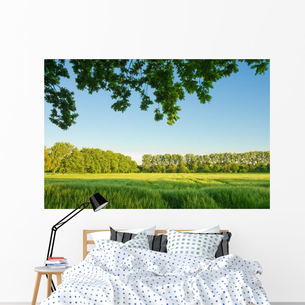 Summer Landscape Cornfield Wall Mural - Peel and Stick Wall Decal (72
