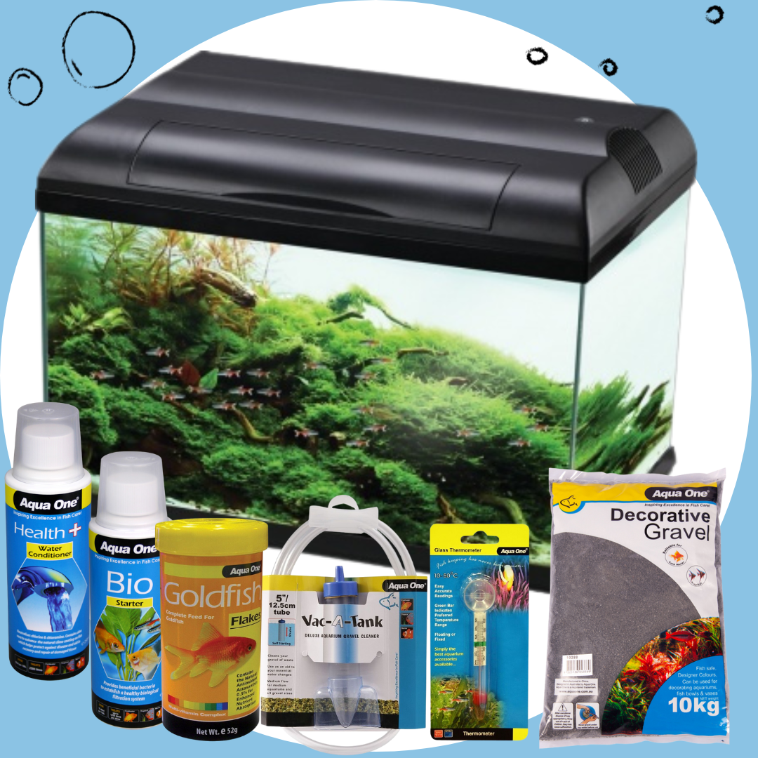 Ecostyle 61 Aquarium Bundle - 70 Litres Fish Tank Kit with LED Light & Filter - Perfect for Home, Office, or Classroom Aquarium Setup
