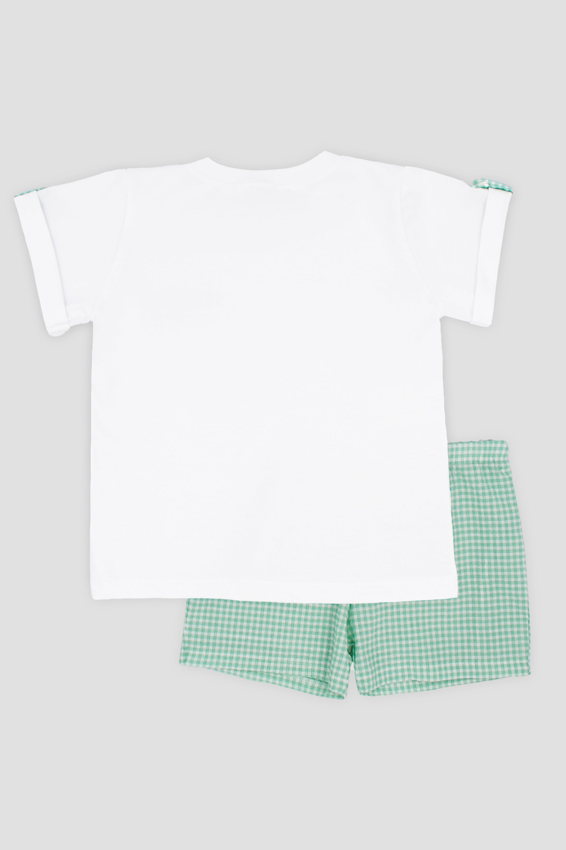 Stylish Mason Apple Green Gingham T-Shirt & Shorts Set - Casual Summer Outfit for Men | Perfect for Beach, Picnic, and Outdoor Activities