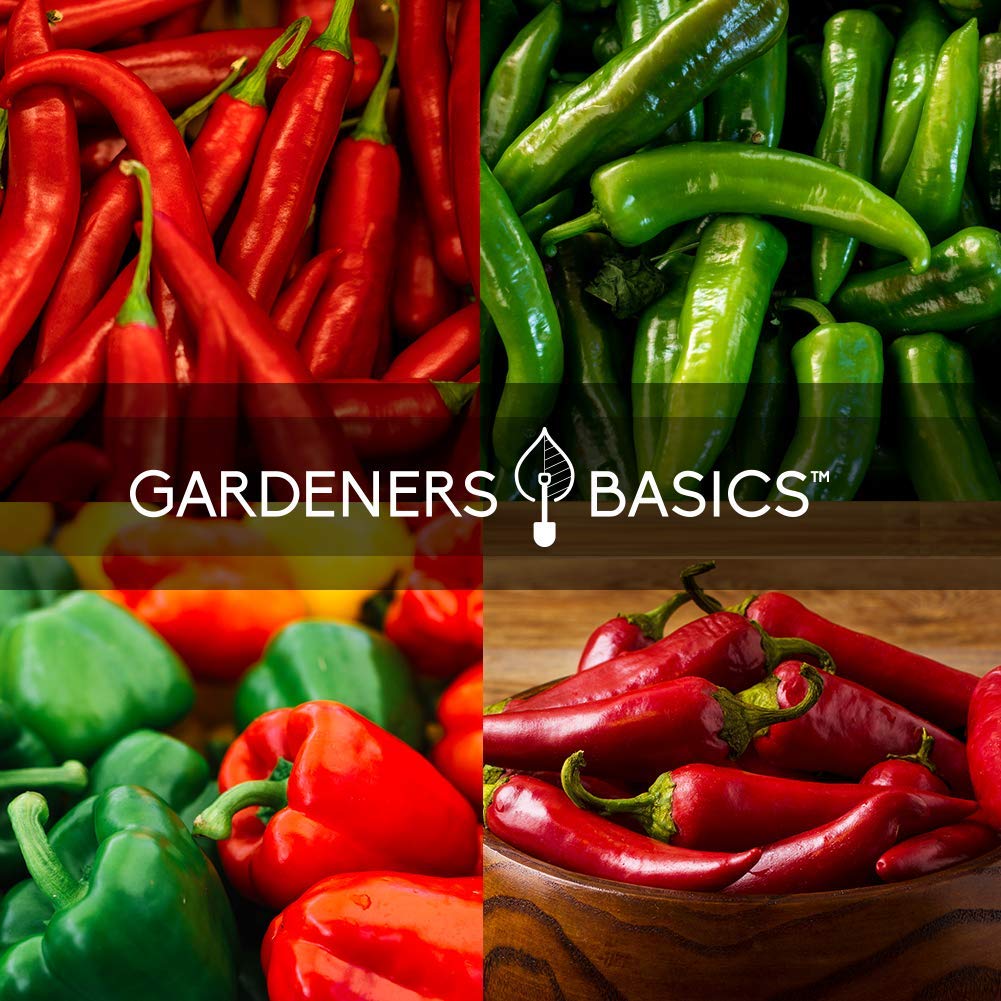 8 Variety Non-GMO Heirloom Pepper Seeds Pack - Jalapeno, Habanero, Bell, Cayenne, Hungarian Hot Wax, Anaheim, Serrano & Cubanelle for Home Gardening - Perfect for Indoor/Outdoor Planting, Vegetable Gardens & Spicy Cooking