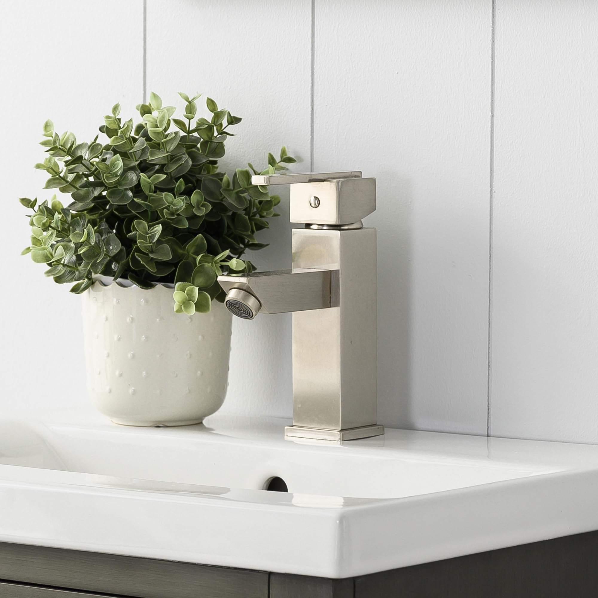Vanity Art 20 Inch Single Sink Bathroom Vanity in Silver Grey with Ceramic Sink & Soft Closing Doors | Modern Undermount Rectangular Sink Cabinet for Small Bathrooms (VA5020-SG) | Perfect for Guest Bathrooms, Powder Rooms & Apartment Remodels