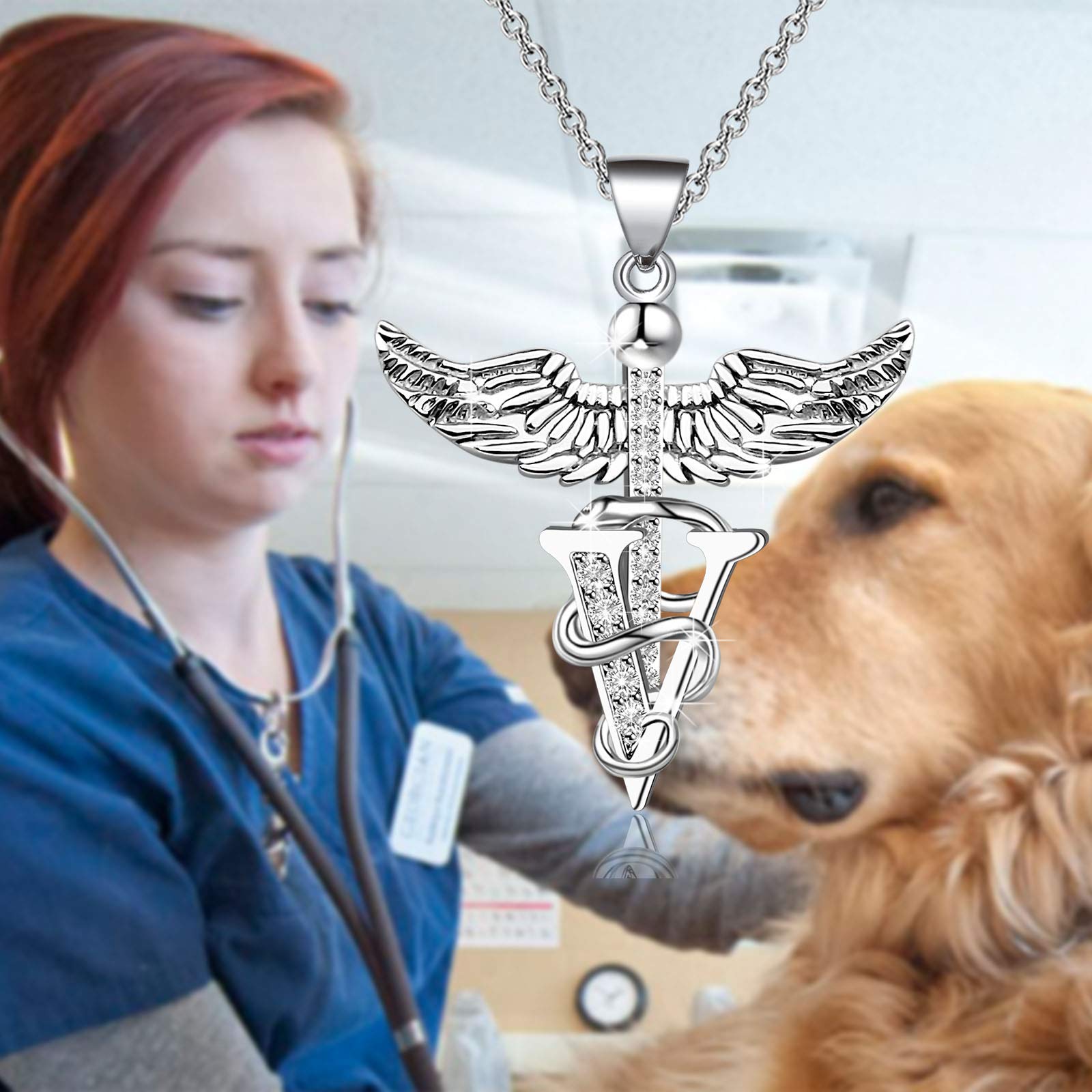PLITI Vet Tech Jewelry - Veterinarian Graduation & Appreciation Gifts for Women, Vet School Students, Daughter or Niece - Sterling Silver Veterinary Medicine Necklace - Perfect for Clinics, White Coat Ceremonies & Daily Wear