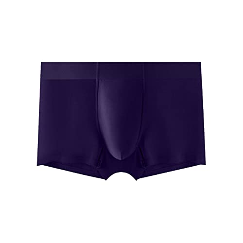 Pp2