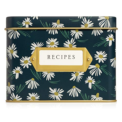 English Daisies