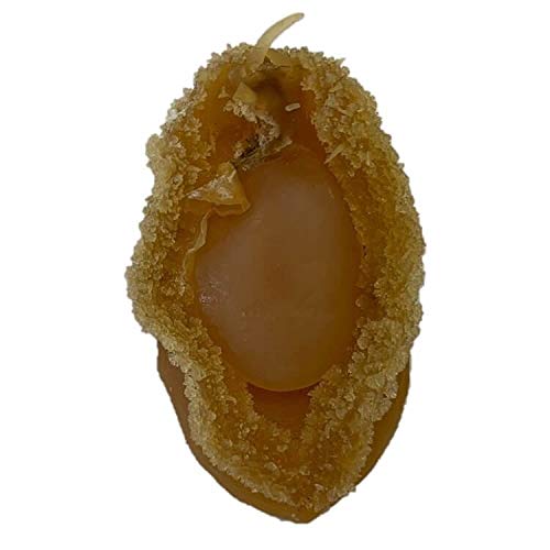 Premium Dried Dalian Abalone - 8oz Medium Size Gourmet Gift Box | Authentic Chinese Dried Seafood Delicacy | Perfect for Soups, Stews & Luxury Gifting