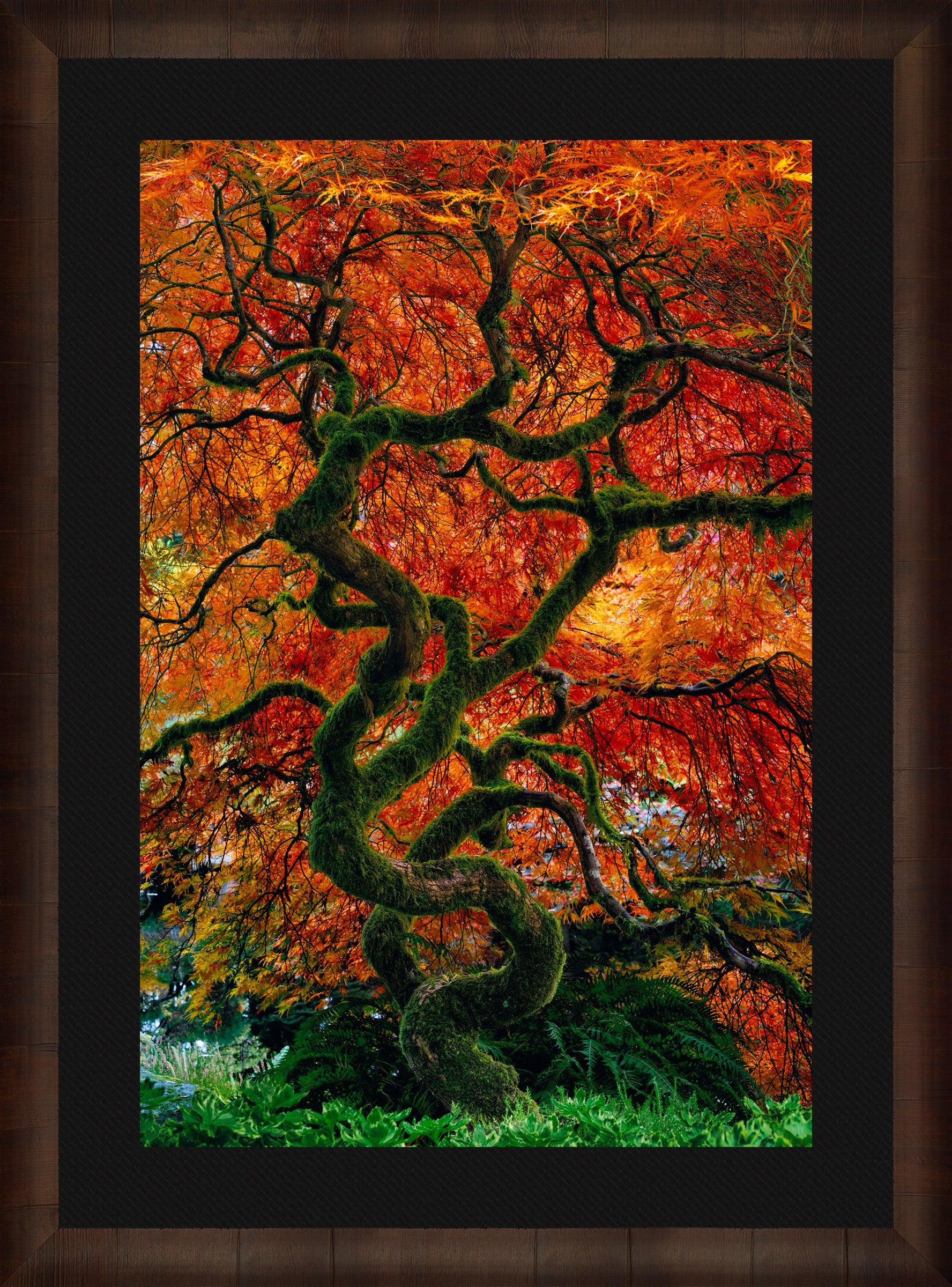 Infinity Tree - Artificial Faux Olive Tree for Home & Office Decor - Perfect for Living Room, Bedroom, or Workspace