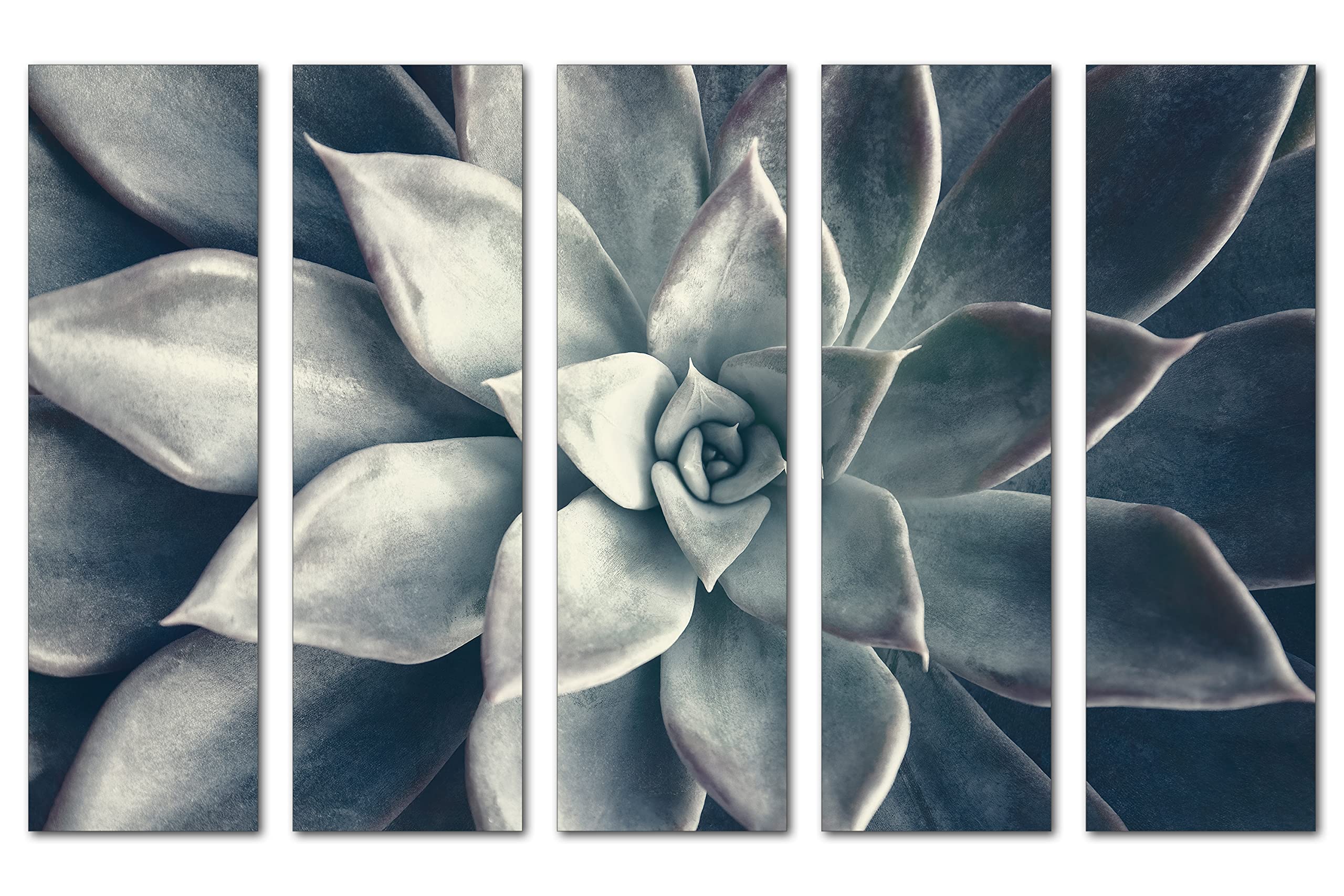 50 x 32 Inch Echeveria Succulent Canvas Wall Art - 5 Panel Split Botanical Plant Painting in Dark Teal for Living Room, Bedroom & Office Decor