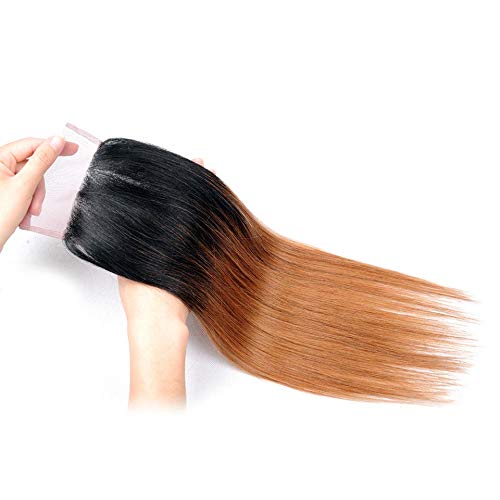 10A Ombre Brazilian Human Hair Bundles with Closure (14 16 18 + 12 Inch) - 3 Bundles Straight Remy Hair Weave in 3-Tone Black to Brown to Auburn - 100g/Bundle for Natural Look & Daily Styling