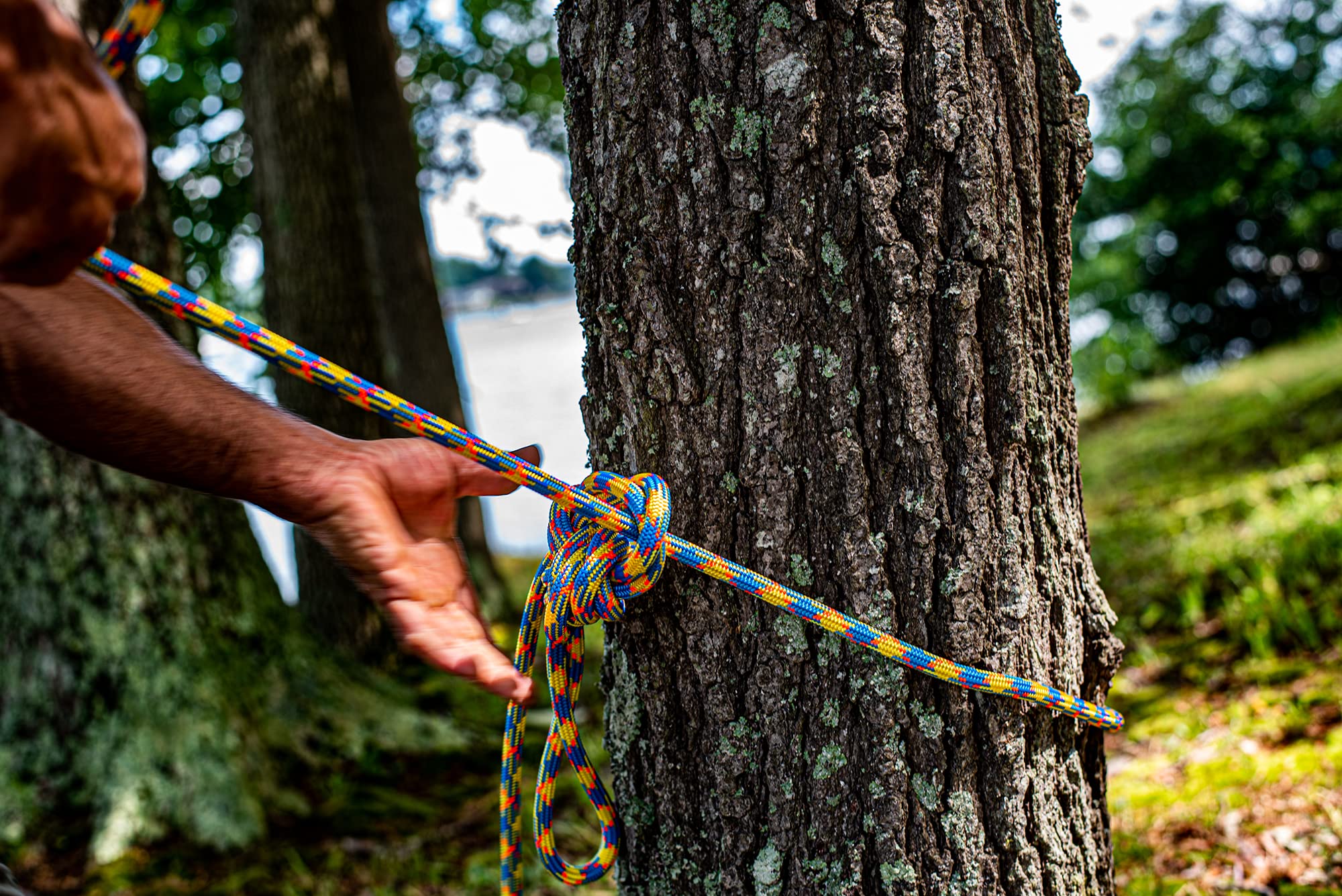 Teufelberger Tachyon 24-Strand Polyester Climbing Rope for Arborist & Tree Care | Professional Climbing Gear for Tree Trimming, Rigging & Rescue Operations | Durable & Lightweight Work Rope for Outdoor Adventures