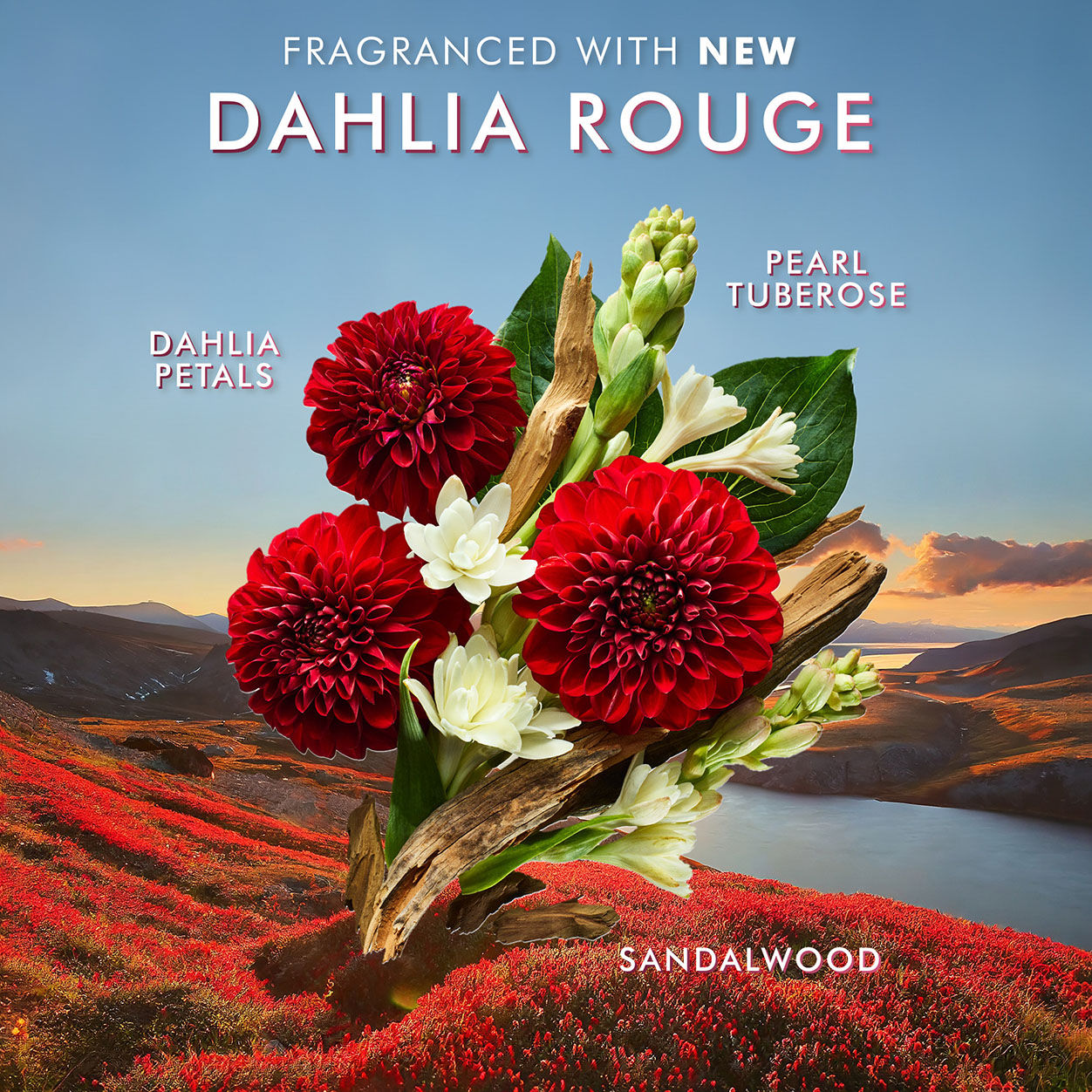 Premium Dahlia Rouge Hand Cream for Dry Skin - Intense Moisturizing & Nourishing - Perfect for Winter Care, Office Use & Travel Essentials