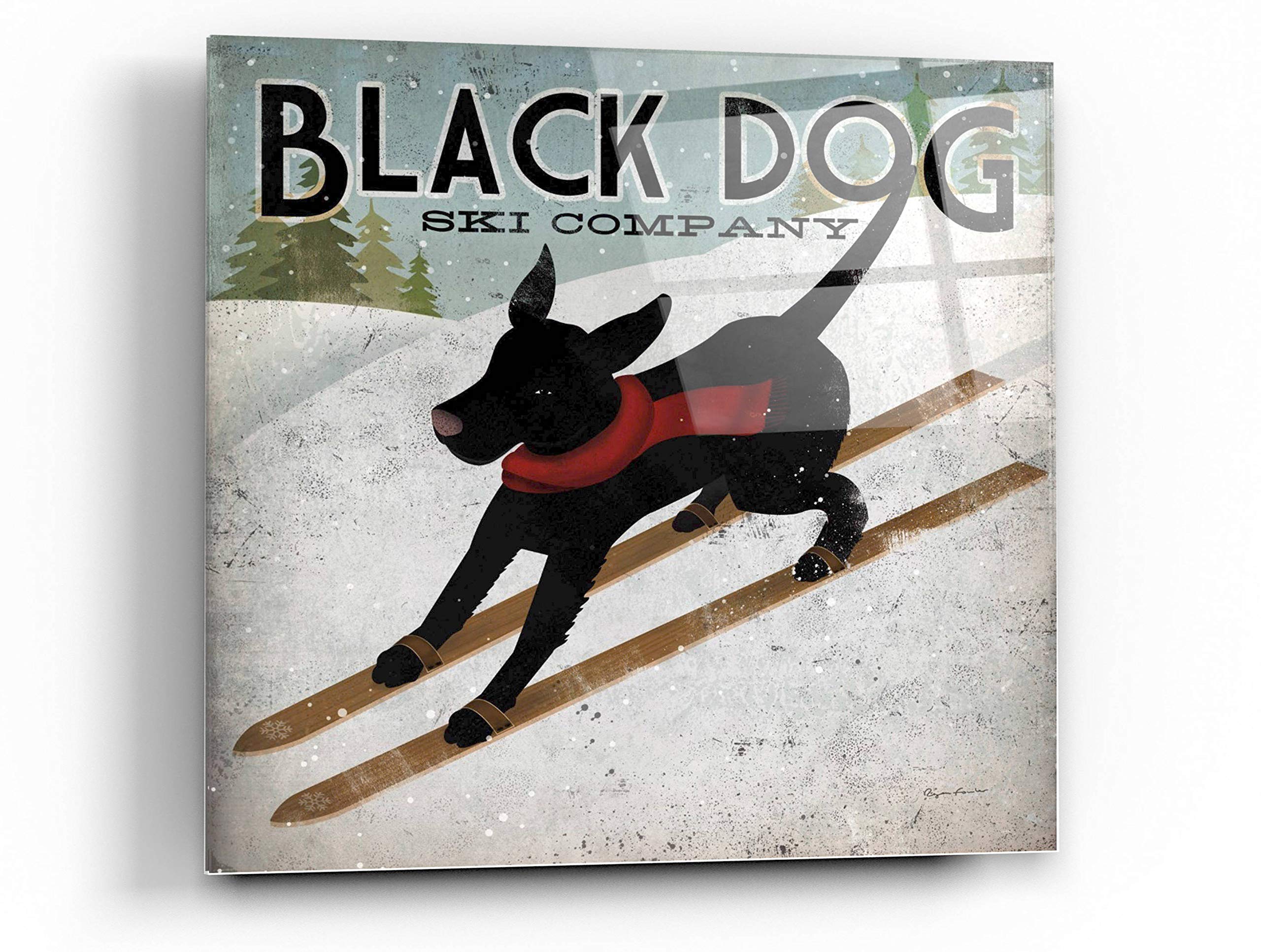 Black Dog Ski Acrylic Glass Wall Art by Ryan Fowler - 36x36 Inches Modern Canvas Painting for Living Room, Bedroom & Office Decor