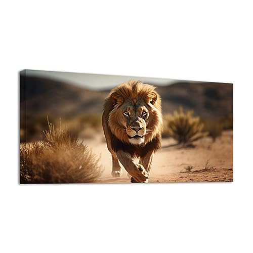 Nature Animal103