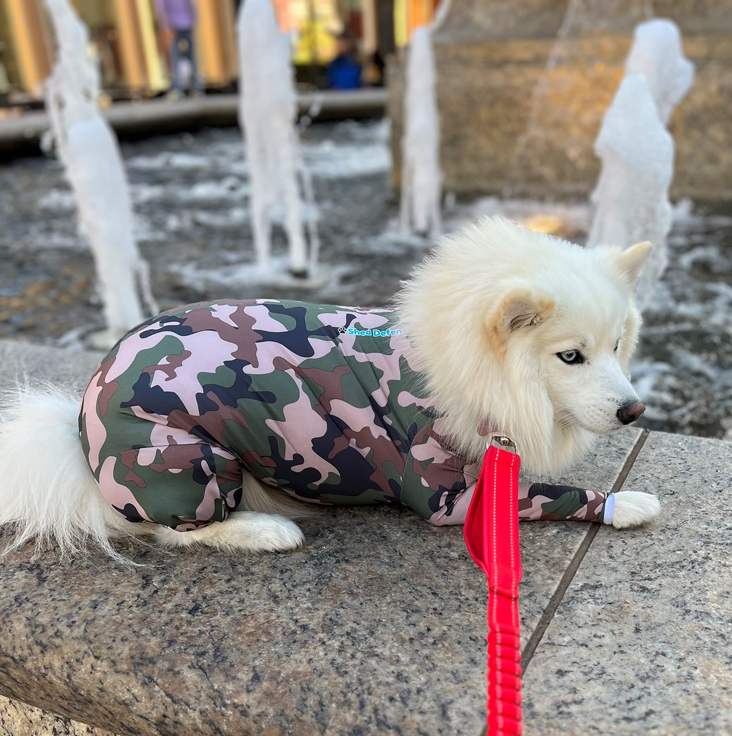 **Shed Defender Original Dog Onesie - Shark Tank Featured, Anti-Shedding Dog Onesie, USA Designed, Post-Surgery Recovery Suit, Anxiety & Hot Spot Relief, Vet Approved for Dogs - Perfect for Grooming, Travel & Calming Nervous Pets**