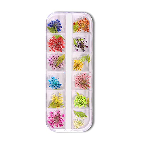 1 Box Mixed Dried Flowers for Nail Art - Natural 3D Floral Stickers & Decals for UV Gel Polish Manicure - DIY Nail Jewelry Decorations - Perfect for Bridal, Party & Special Occasion Nail Designs