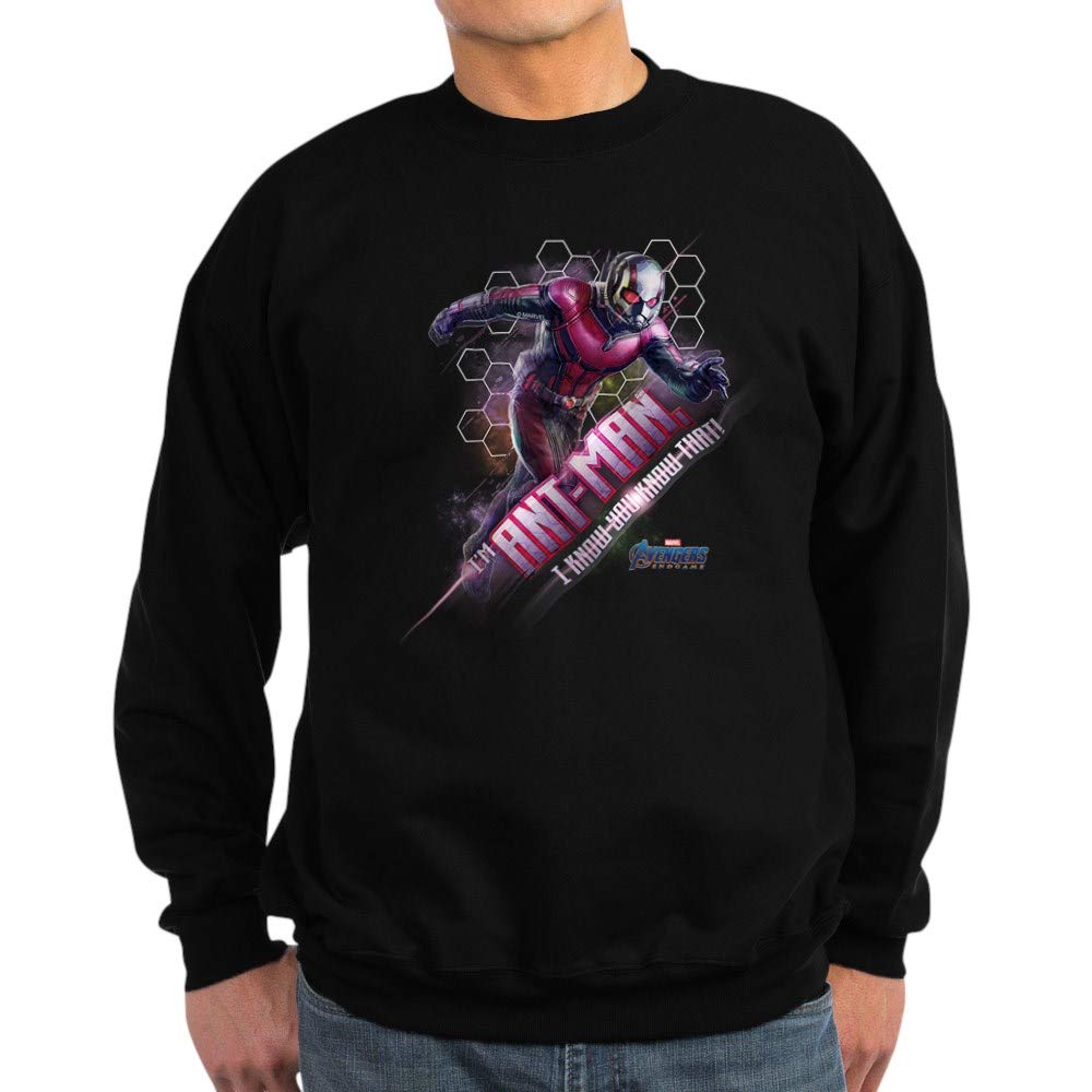 Ant Man Sweatshirt for Men & Women - Dark Marvel Superhero Hoodie - Perfect for Cosplay, Movie Nights & Superhero Fans