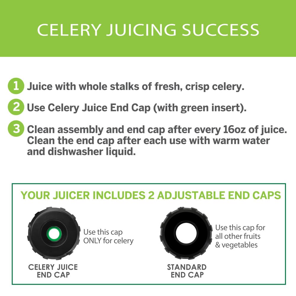 Premium Omega Masticating Juicer - 200W Cold Press Slow Juicer for Celery, Carrots & Greens with Adjustable Dial - Silver | Perfect for Healthy Juicing, Detox & Weight Loss at Home