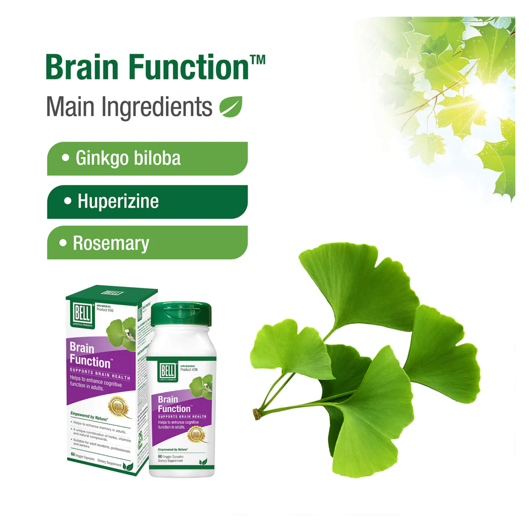 Super IQ Brain Function Supplement - 60 Capsules for Memory, Focus & Cognitive Support - Enhance Mental Clarity for Work, Study & Daily Life
