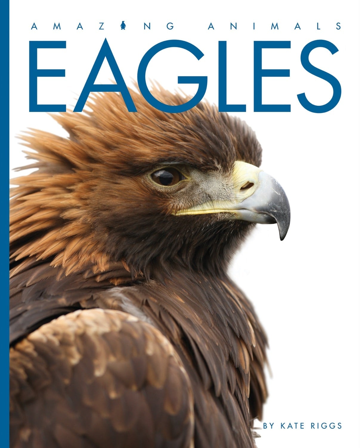 Amazing Animals (2014) - Eagles: Majestic Birds of Prey Documentary | Wildlife Nature Films for Bird Lovers & Educational Viewing