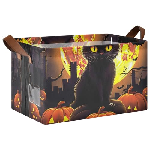 Black Cat Halloween Pumpkin