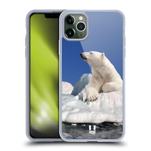 Polar Bear On Ice
