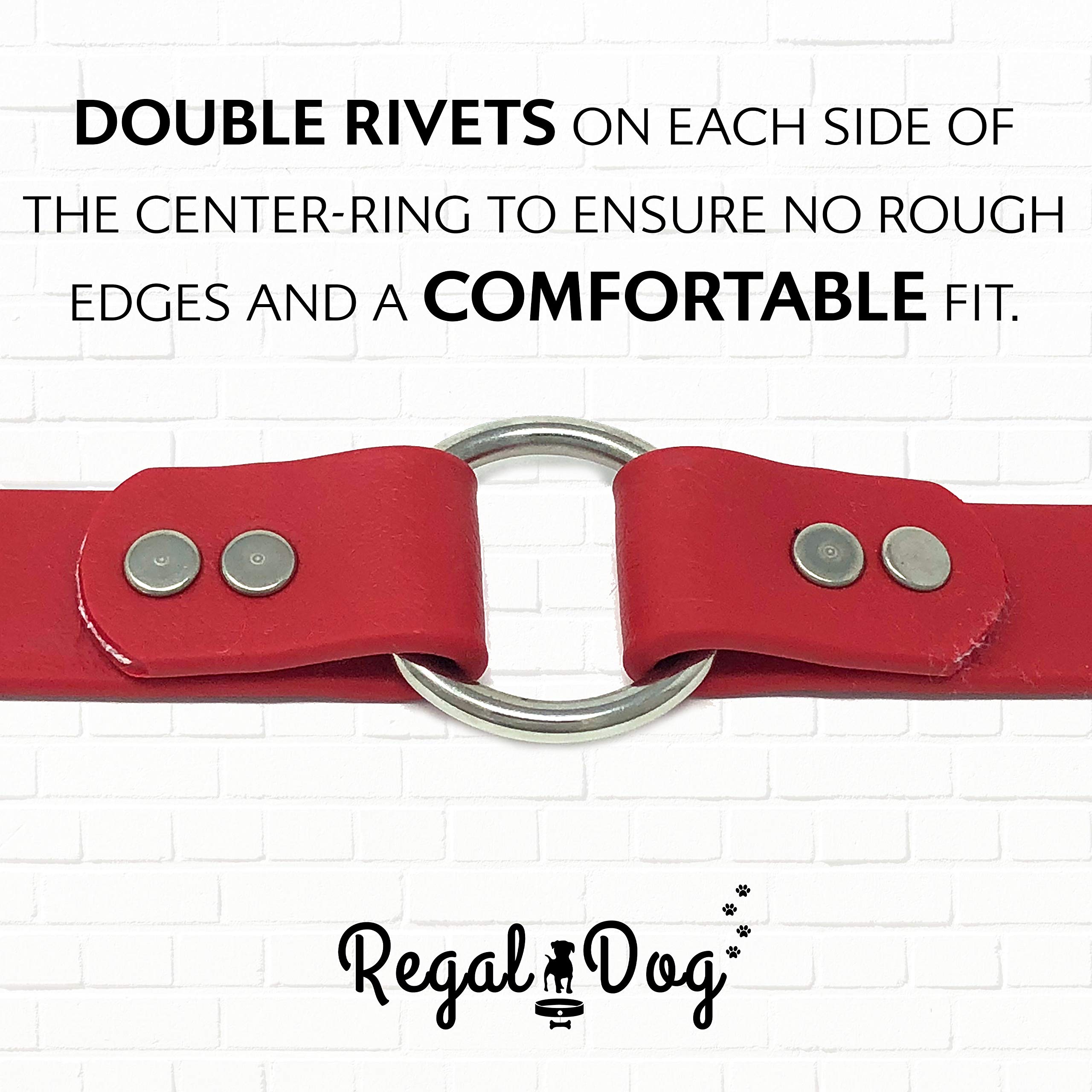 Regal Dog Products Small Red Heavy Duty Double Buckle Dog Collar with D-Ring | Adjustable Vinyl Coated Biothane Collar for Small Dogs | Chew Proof Waterproof Pet Collar for Walking, Training & Outdoor Adventures