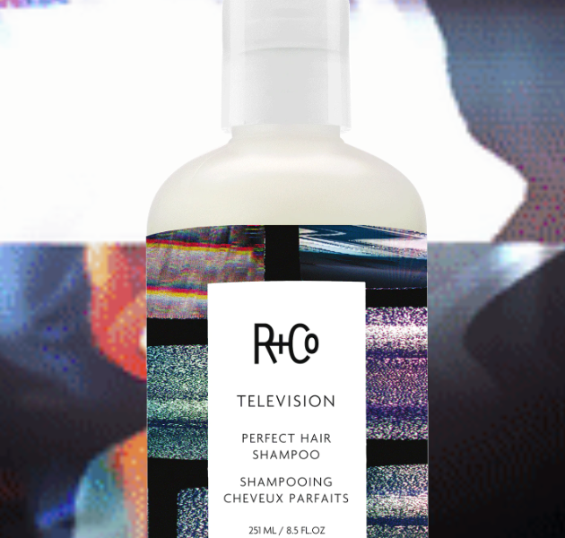R+Co Television Perfect Hair Shampoo - Volumizing & Repairing Sulfate-Free Shampoo for Damaged Hair | Salon-Quality Hair Care for Shine & Strength | Perfect for Daily Use & Color-Treated Hair