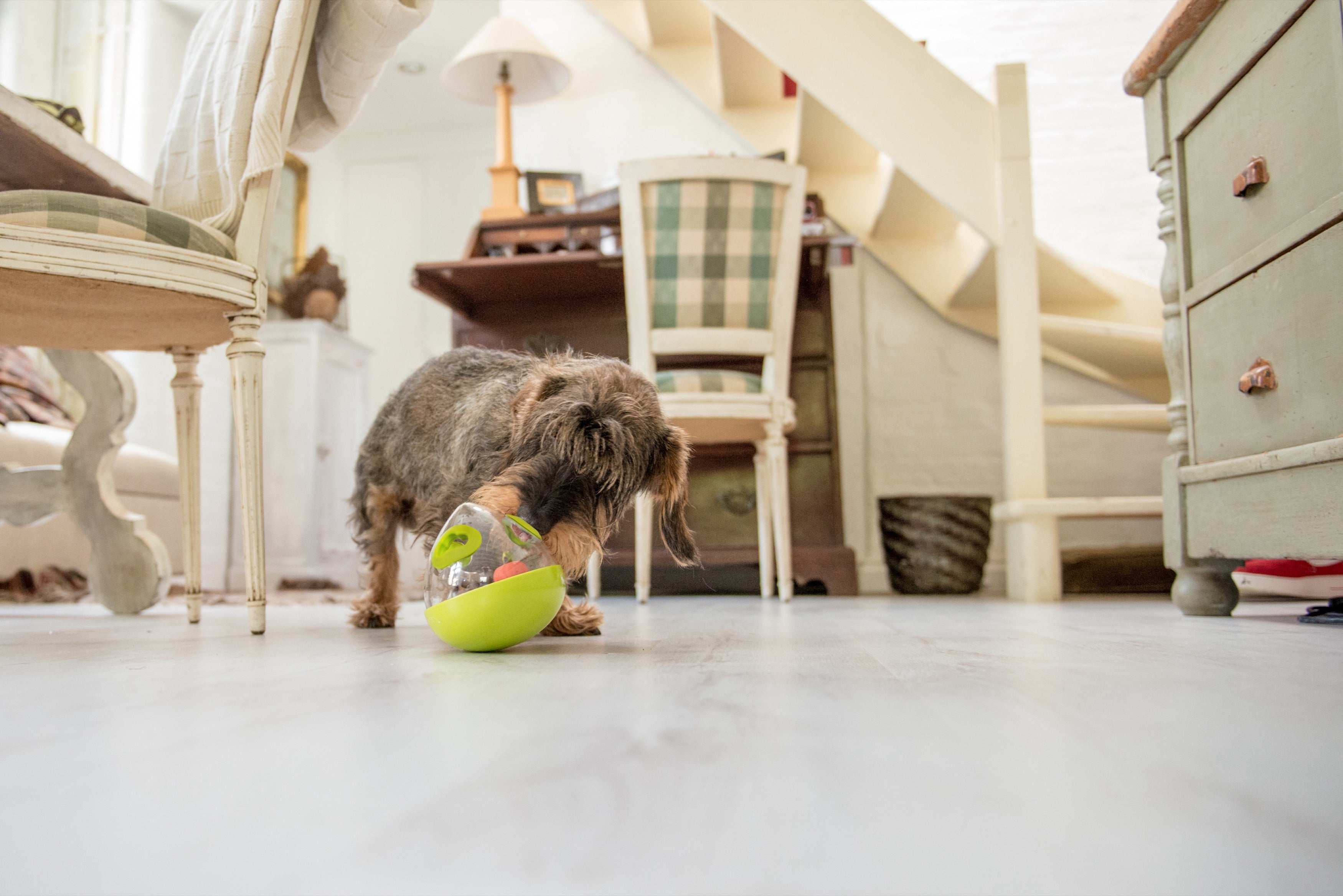 **Interactive Wobble Ball Dog Toy with Treat Dispenser - Green | Pet P.L.A.Y. | Fun Puzzle Game for Training & Mental Stimulation**    (Note: I kept 