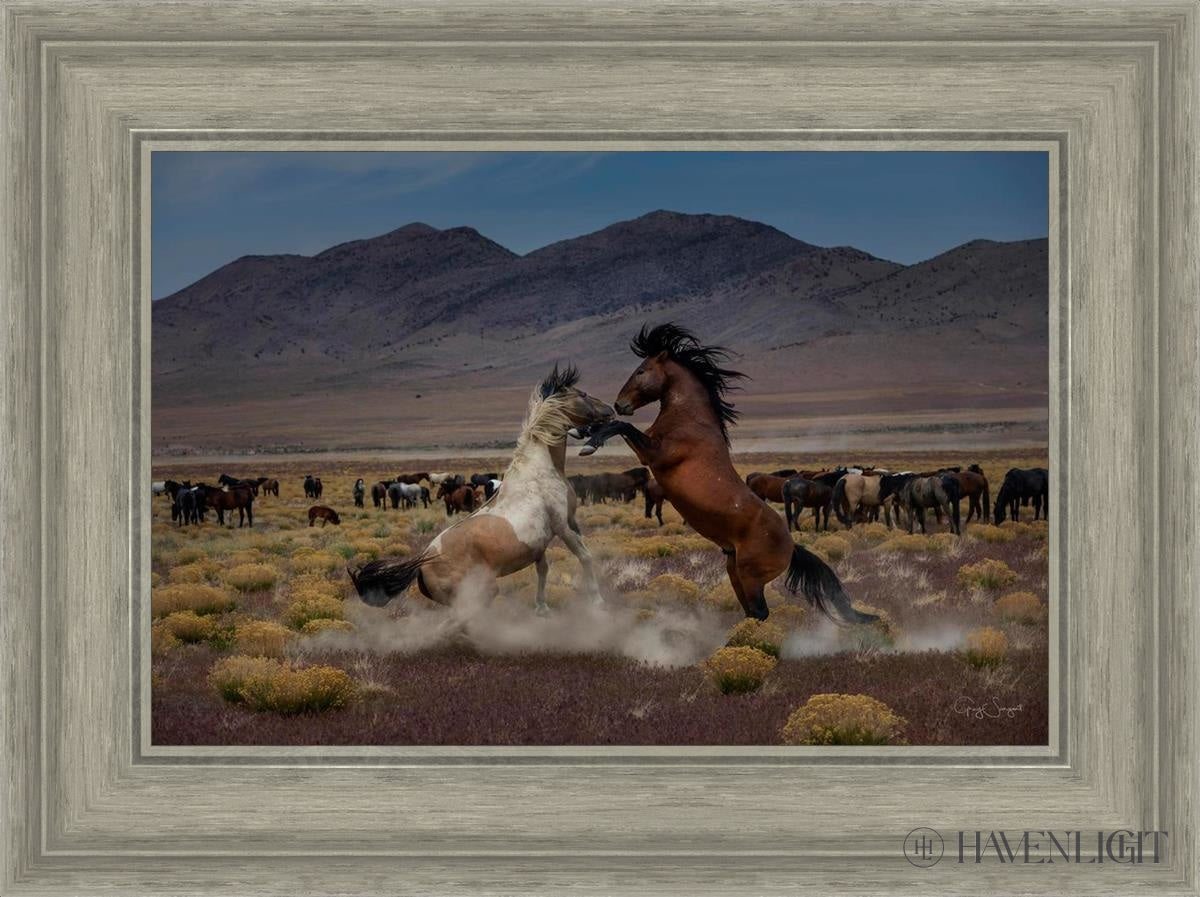 Desert Duel 5 by Greg Sargent - Western Action Novel - Perfect for Book Clubs & Cowboy Adventure Fans