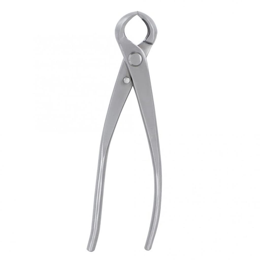 180mm Stainless Steel Knob Cutter - Professional Garden Bonsai Scissors & Tree Pruning Shears for Gardening, Landscaping, and Plant Care