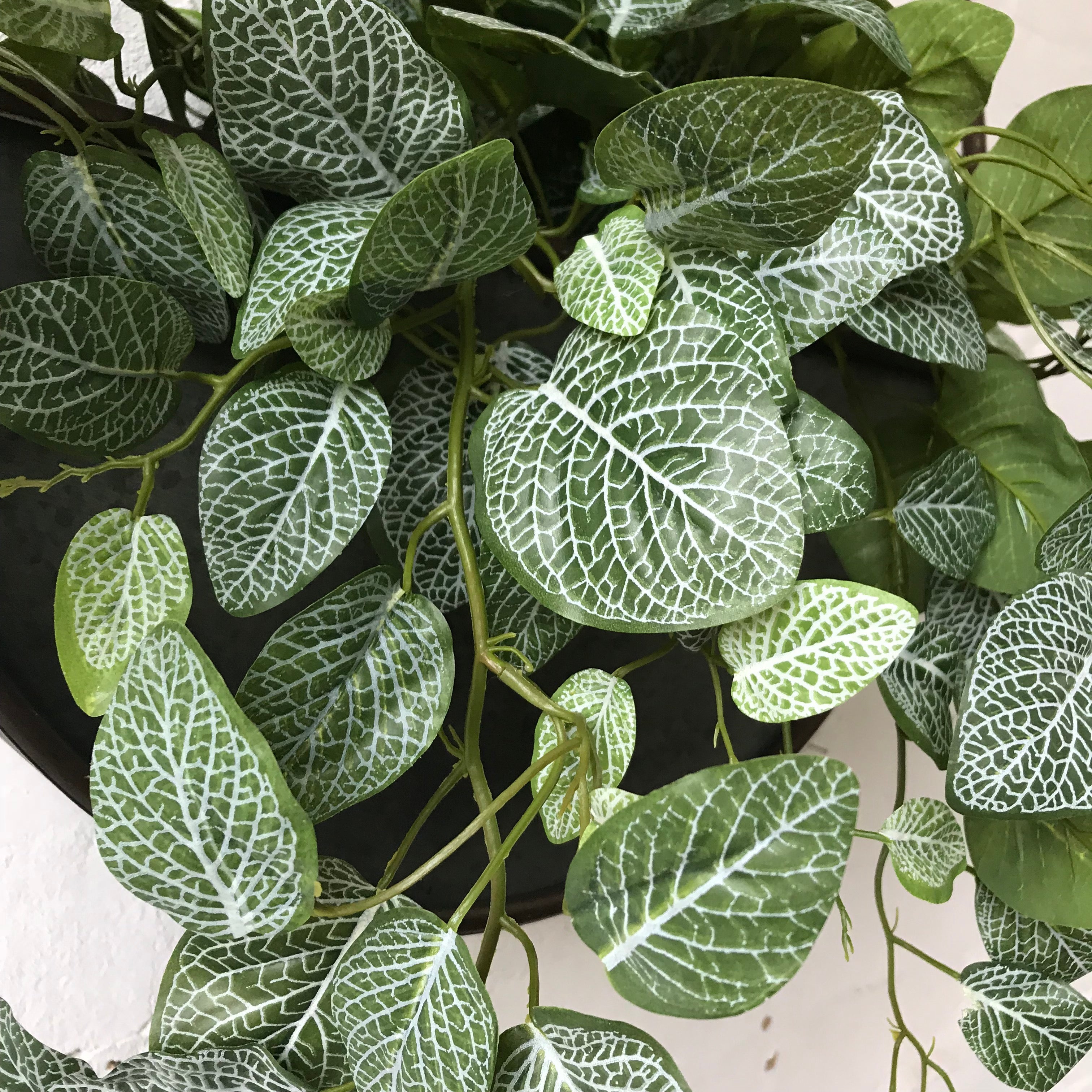 Artificial Fittonia Bush - Realistic Fake Foliage Plant for Home & Office Decor - Perfect for Indoor Spaces, Table Centerpieces, and Shelf Displays