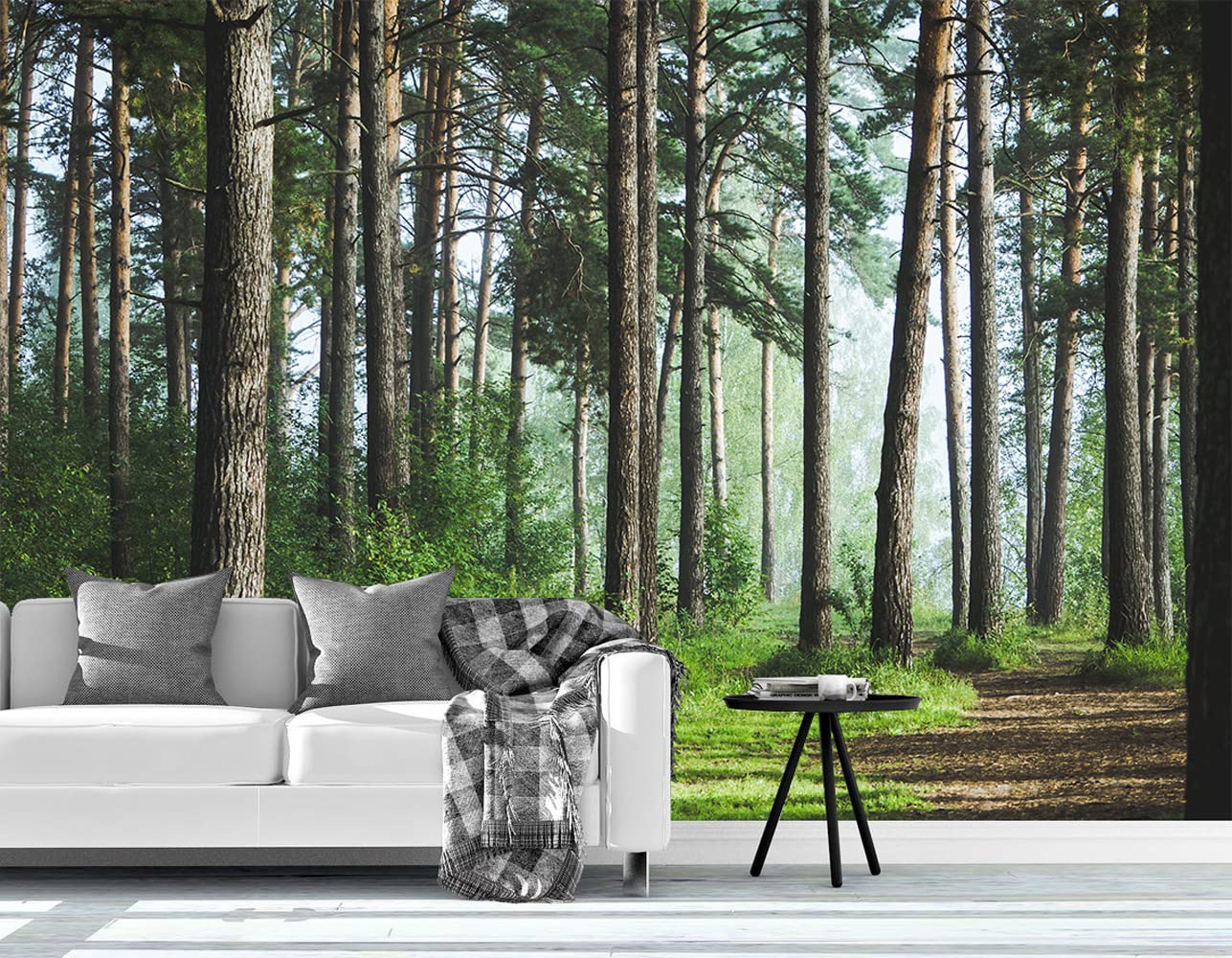 Bormia Forest Landscape Wall Mural Wallpaper - 195