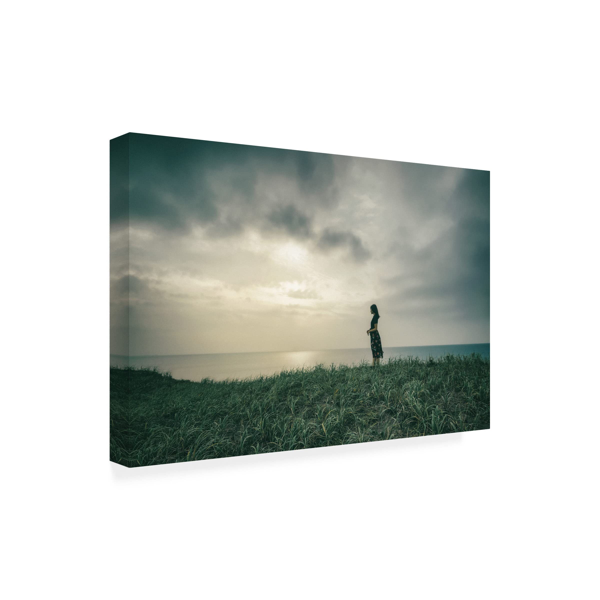 Nobu Ishijima 'Haruka' Canvas Art Print - Modern Japanese Wall Decor for Living Room, Bedroom & Office - Trademark Fine Art Collection