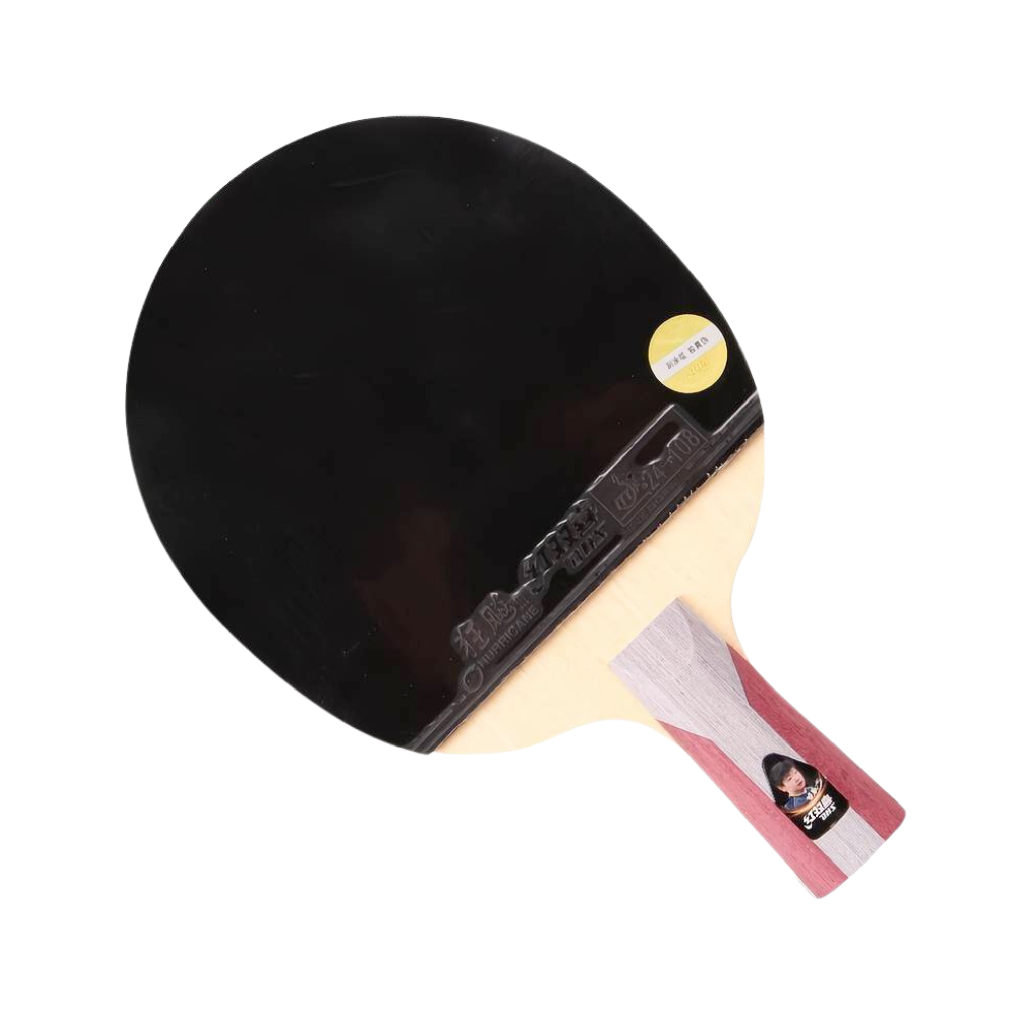 DHS H5006 Professional Penhold Table Tennis Racket Set with Case - Perfect for Training, Competition & Indoor Sports