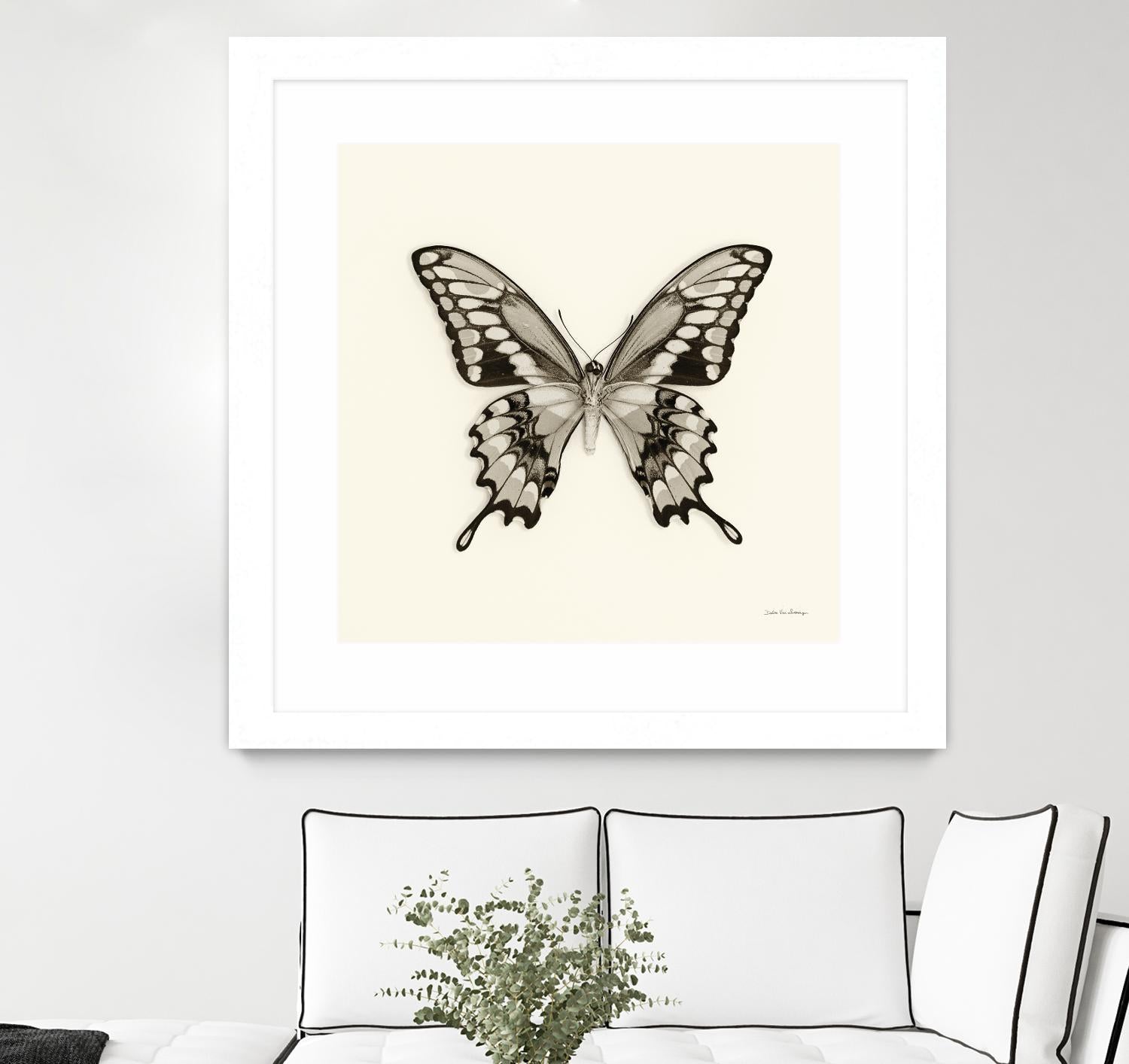 Butterfly VI BW Crop Top - Women's Fashion Black & White Floral Print Short Sleeve Shirt - Perfect for Summer Outfits, Beach Wear & Casual Street Style