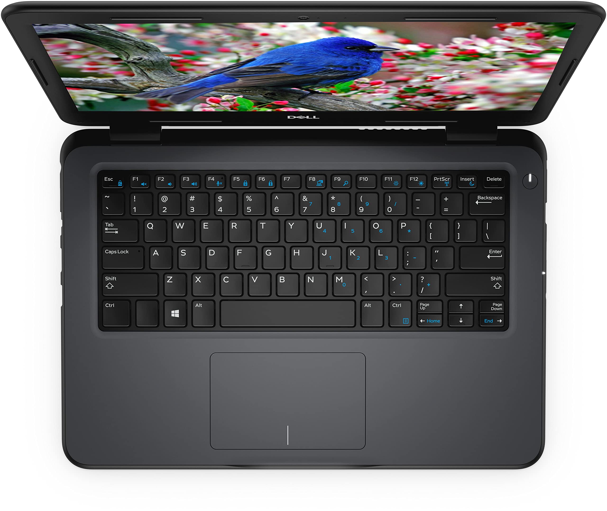 Refurbished Dell Latitude 13 3300 Business Laptop - Intel Core i3-7020U, 8GB DDR4 RAM, 128GB SSD, Windows 10 Pro - with Webcam, WiFi, Bluetooth, HDMI & USB-C | Ideal for Remote Work, Office Productivity & Student Use